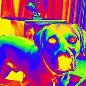 Meet your Posher, Jordan